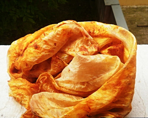 Žlutá růže — foto 3