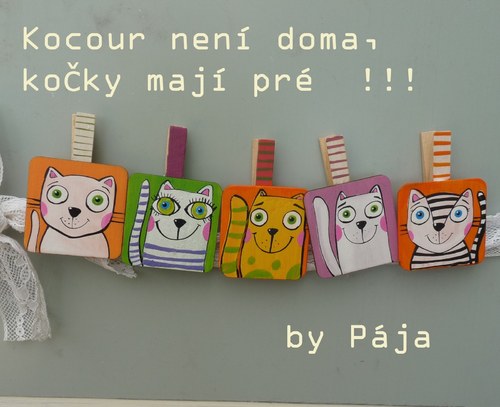 Kočičí mejdan- Růža — foto 2