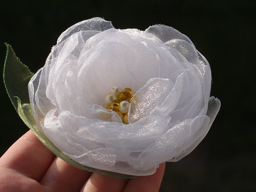 Brož Camilla — foto 6