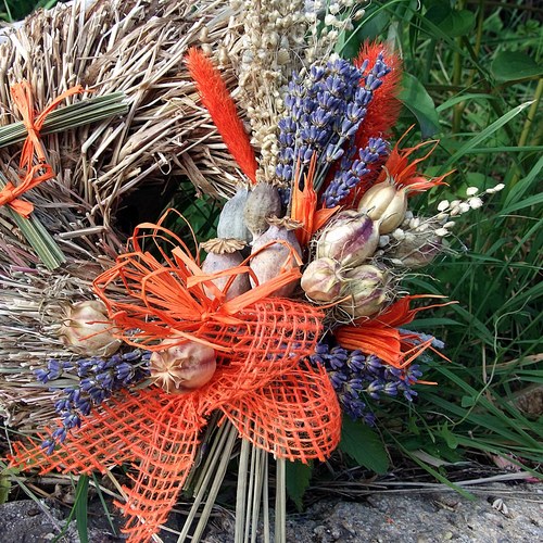 Věnec - Cestou necestou - mazlík — foto 4