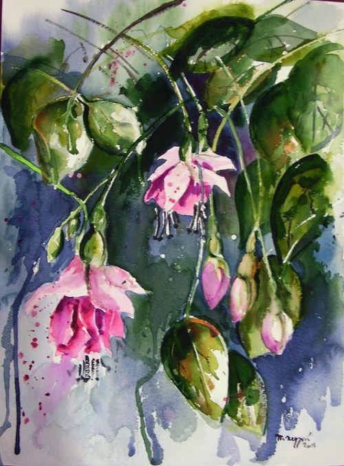 Fuchsia2 — foto 2