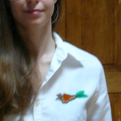Ptáček Dvojpíráček — foto 4