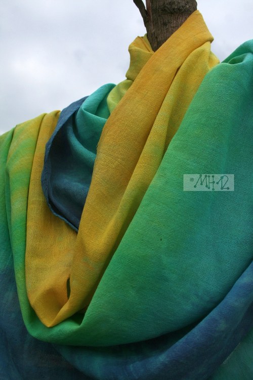 Jak zraje modrá — foto 2