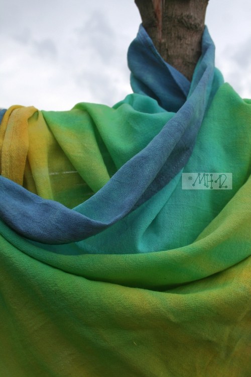 Jak zraje modrá — foto 4