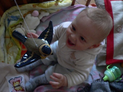 Modřinka — foto 3