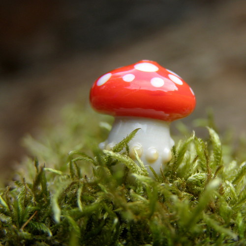 Muchomůrka tečkovaná — foto 3