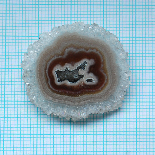 Křišťálová růže 4 — foto 2