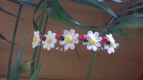 Slunéčková čelenka — foto 2