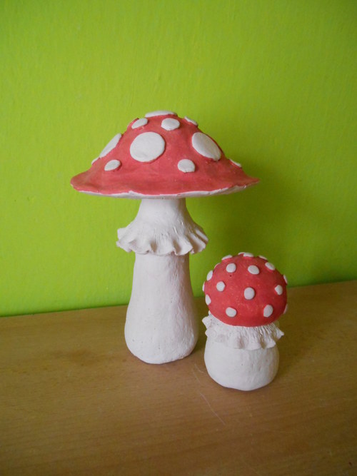 Muchomůrka s miminkem — foto 2