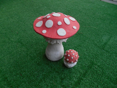 Muchomůrka s miminkem — foto 3