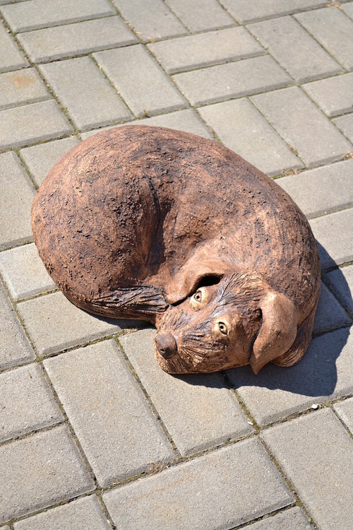 Barunka na přání — foto 4
