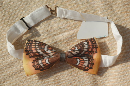Hnědásek Horský — foto 2