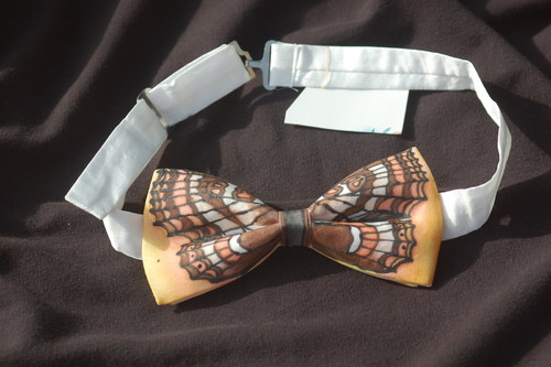 Hnědásek Horský — foto 3