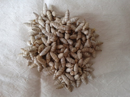 Ulity volné — foto 2