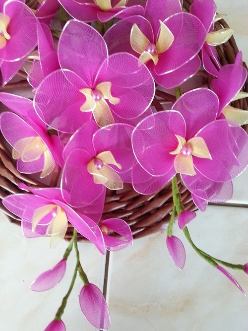 Orchidej na objednávku — foto 4