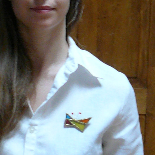 Motýl kubista — foto 4