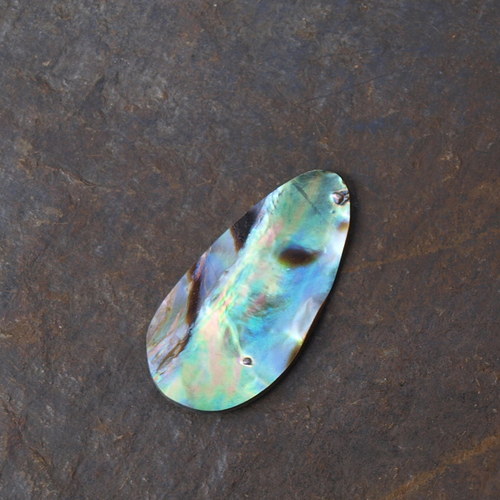 Paua mušle 31 x 15 mm — foto 2