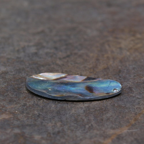 Paua mušle 31 x 15 mm — foto 4