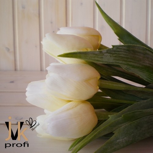 Tulipán - žluto-bílý — foto 2