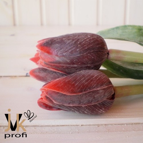 Tulipán - bordó-červený — foto 2