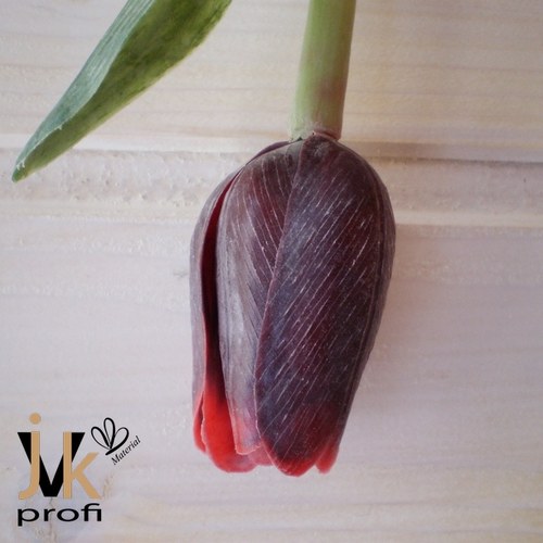 Tulipán - bordó-červený — foto 3