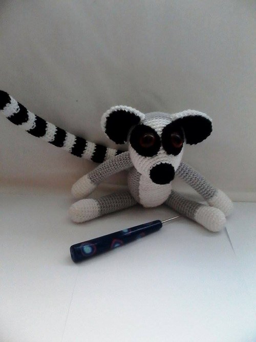 Návod na lemura — foto 3