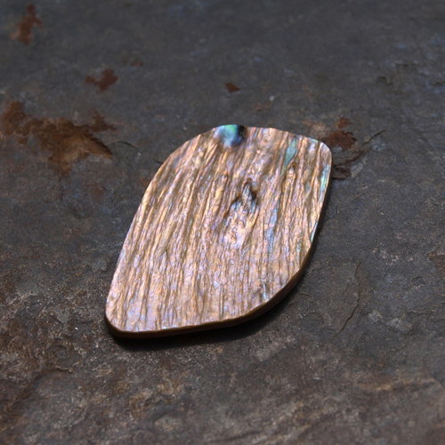 Paua mušle 28 x 19 mm — foto 2
