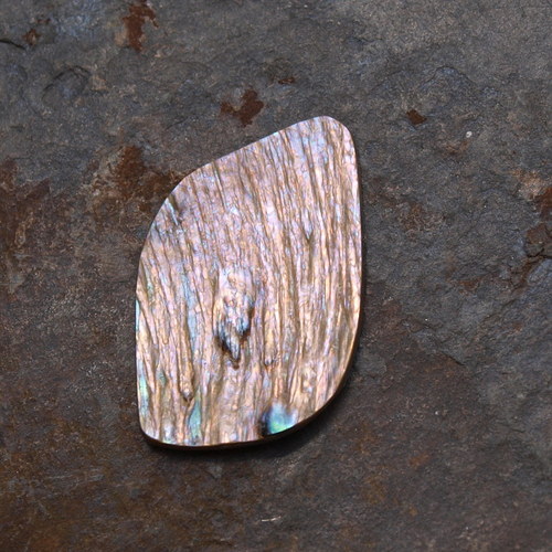 Paua mušle 28 x 19 mm — foto 3