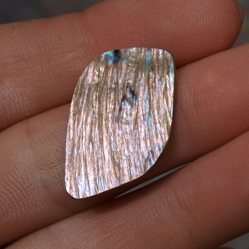 Paua mušle 28 x 19 mm — foto 4