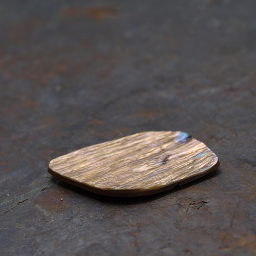 Paua mušle 28 x 19 mm — foto 6
