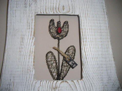 Tulipán — foto 3