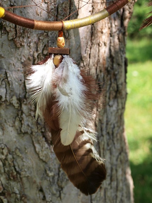 Dravec v letu - energetický amulet,lapač snů — foto 5