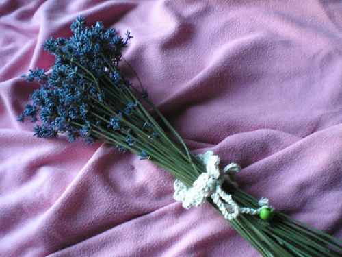 Levandulová kytička — foto 2