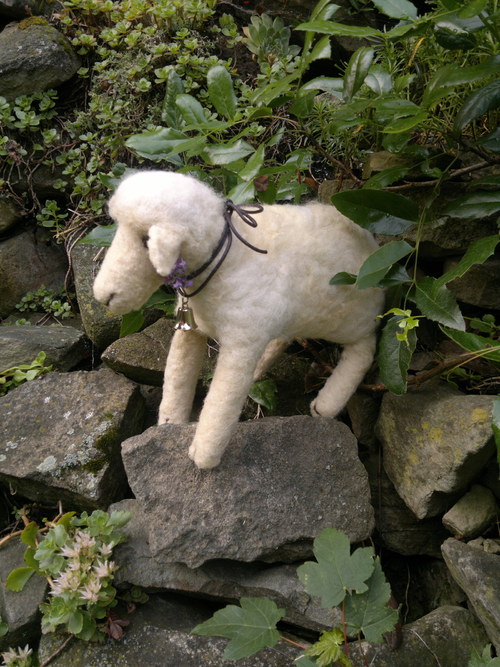Cecilka — foto 2