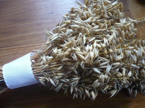 Ovesná — foto 2