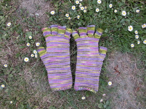 Bezprsťáky Viktorie (18-20 cm) — foto 3