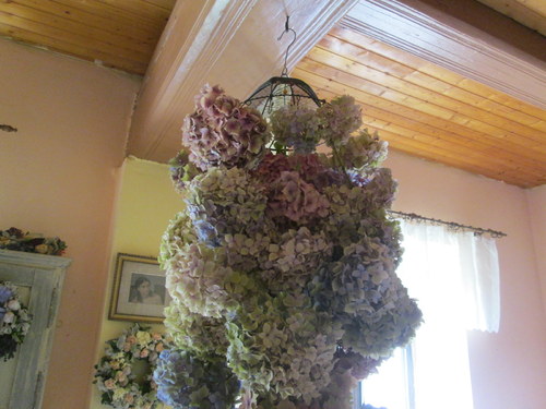 Hortenziovník — foto 2