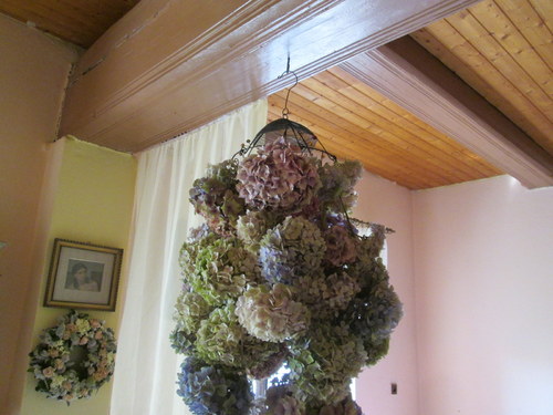 Hortenziovník — foto 3