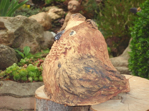 Výr velký světlý — foto 2