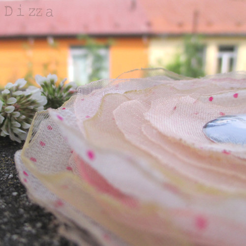 Brož Dívám se — foto 5