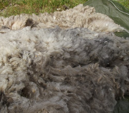 Přadlenky, na slovíčko... (3) — foto 6