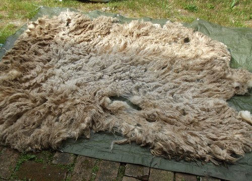 Přadlenky, na slovíčko... (4) — foto 5