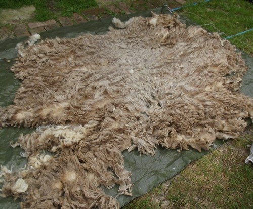Přadlenky, na slovíčko... (5) — foto 6