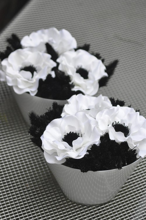 Black&White - pouze 1 ks — foto 3