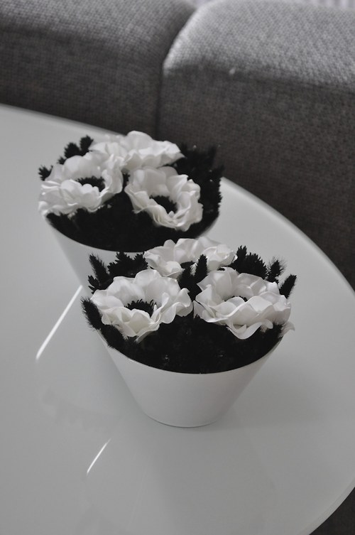 Black&White - pouze 1 ks — foto 4