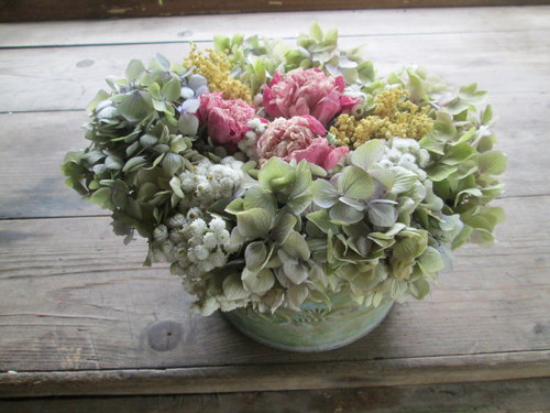Nostalgia hortenzia — foto 6