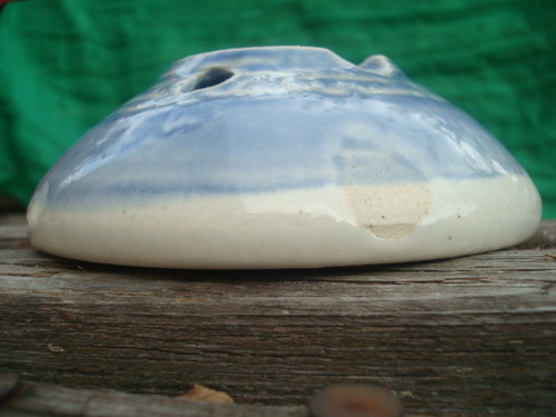 Blankytná mýdlenka — foto 2