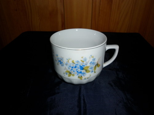 Pomněnka zapomněnka — foto 2