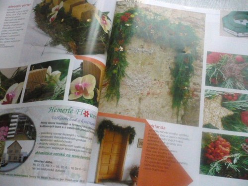 Floristika — foto 2