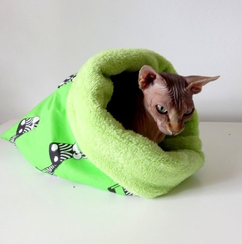 Fusak pro Sphynx- malý zelená zebra — foto 2
